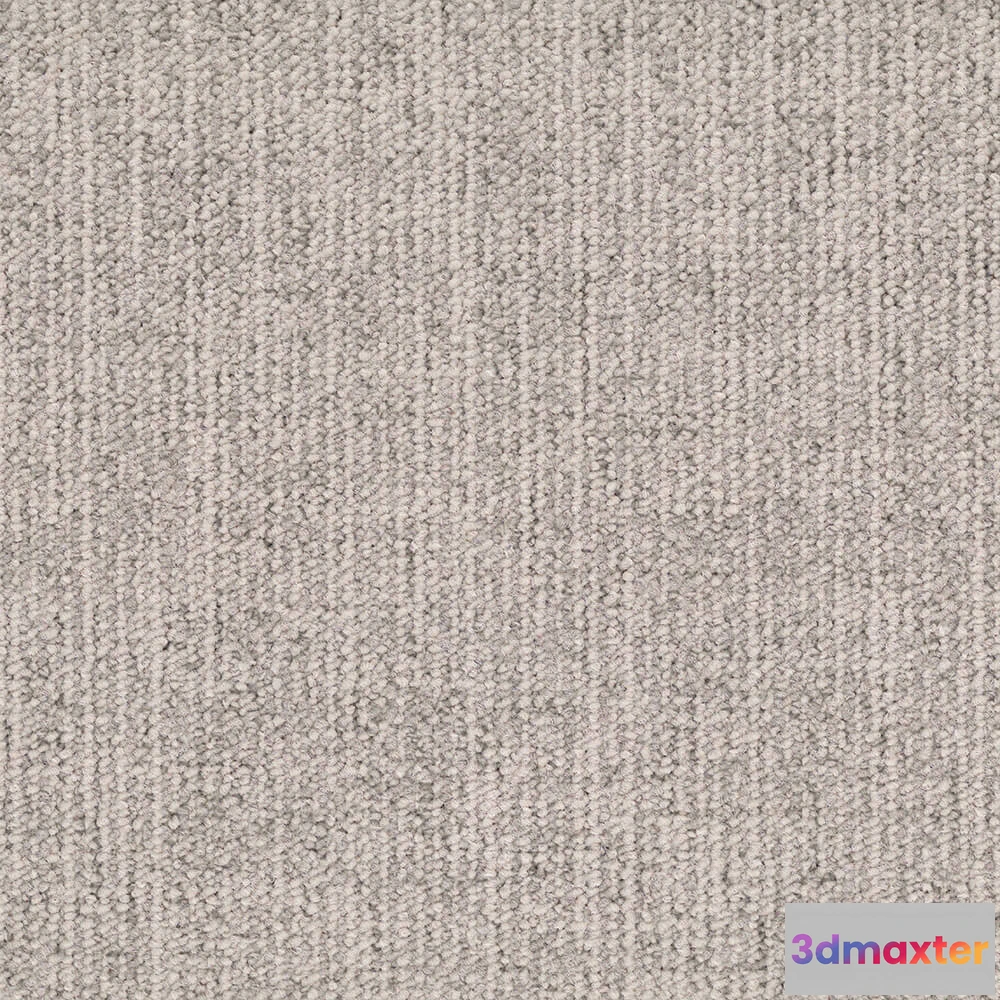 1671252 - BLOQ - Carpeting Canvas_150 3D Max