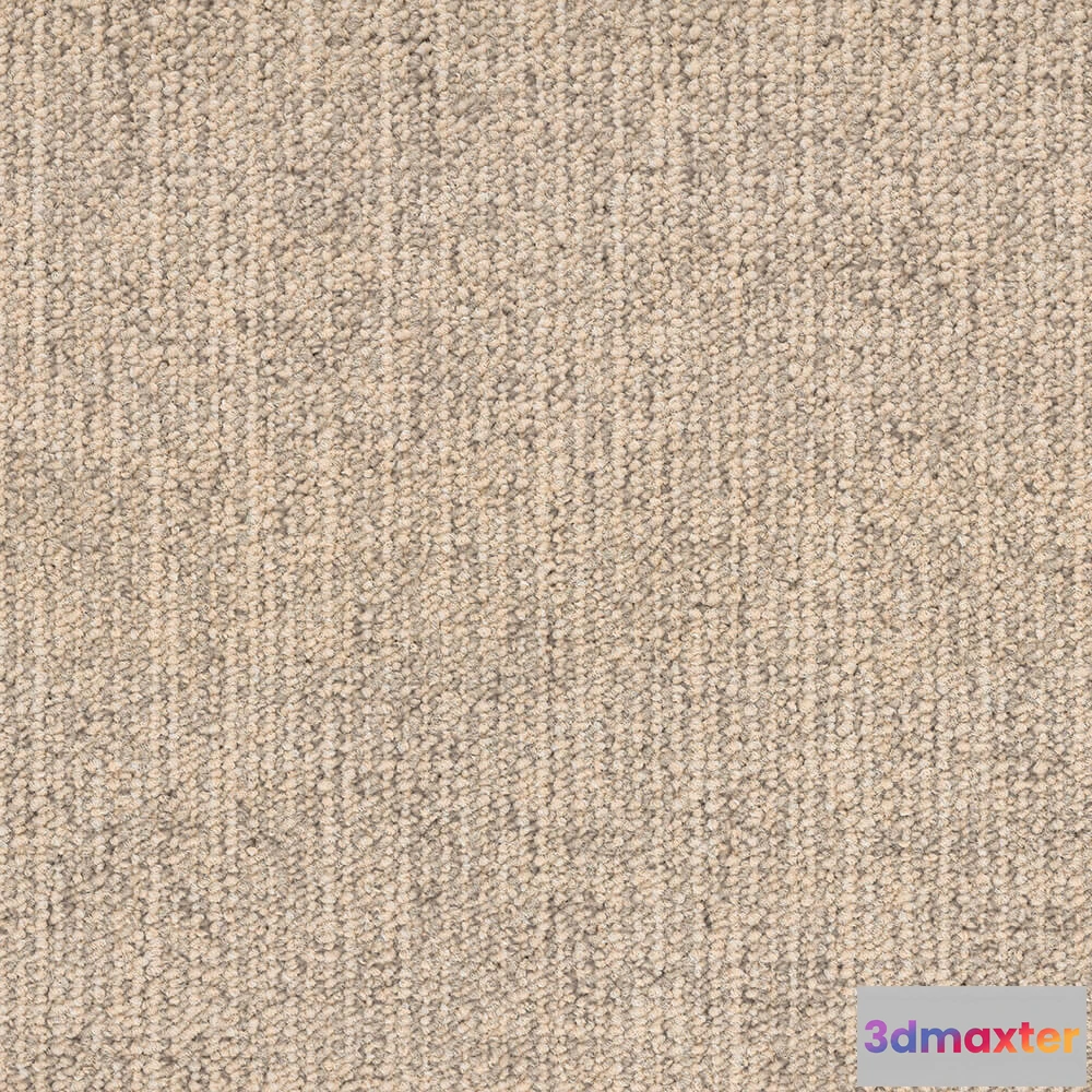 1671260 - BLOQ - Carpeting Canvas_145 3D Max