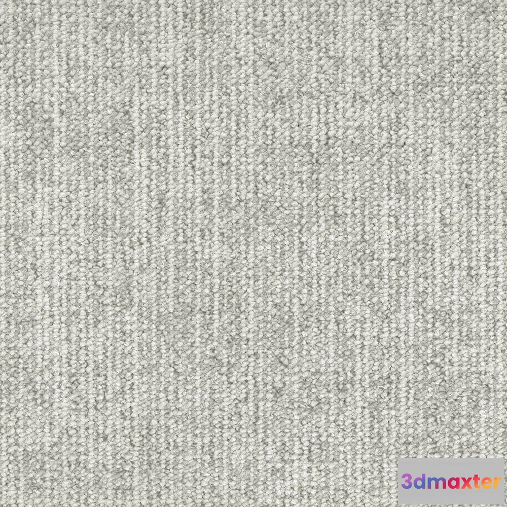 1671266 - BLOQ - Carpeting Canvas_140 3D Max