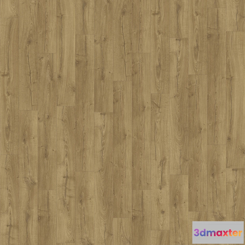 1672234 - Quick step - IM 1848 3D Max