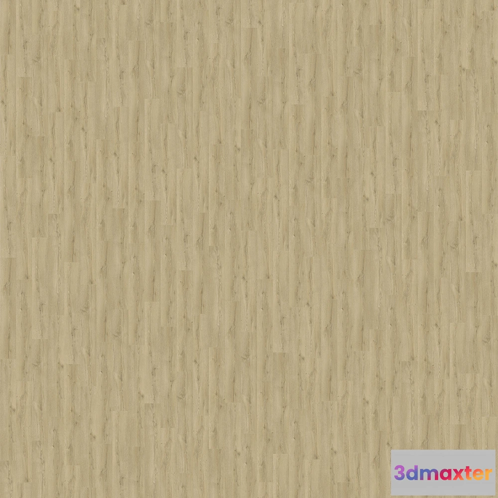 1672242 - Quick step - CLV 4084 3D Max