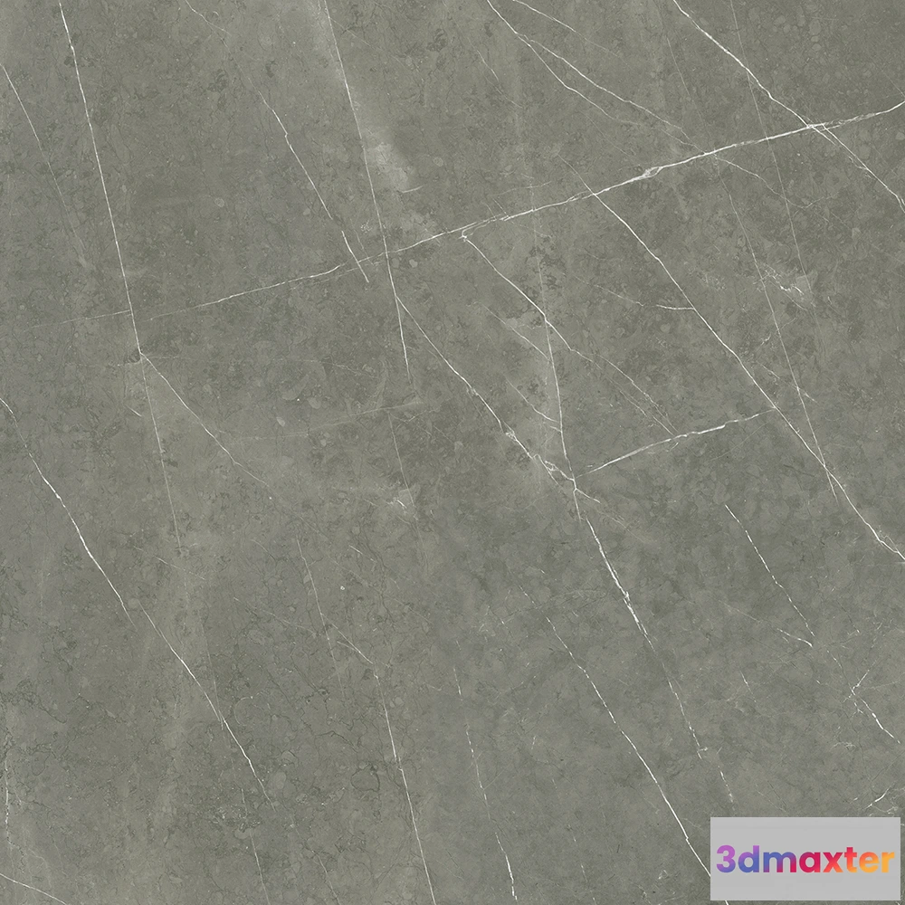 1672718 - Tau Ceramica - Altamura Gray 3D Max