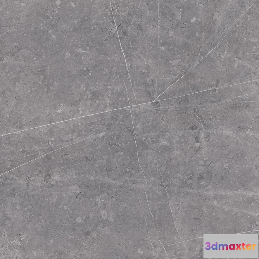 1672744 - Tau Ceramica - Altamura Gray 3D Max