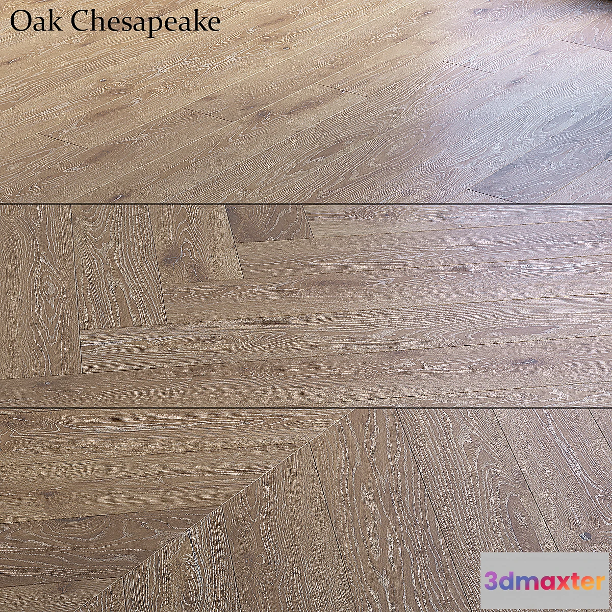 752487 - Oak Chesapeake - No.2