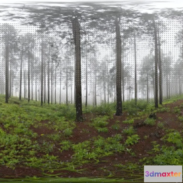 1205386 - HDRI - HDRI 72