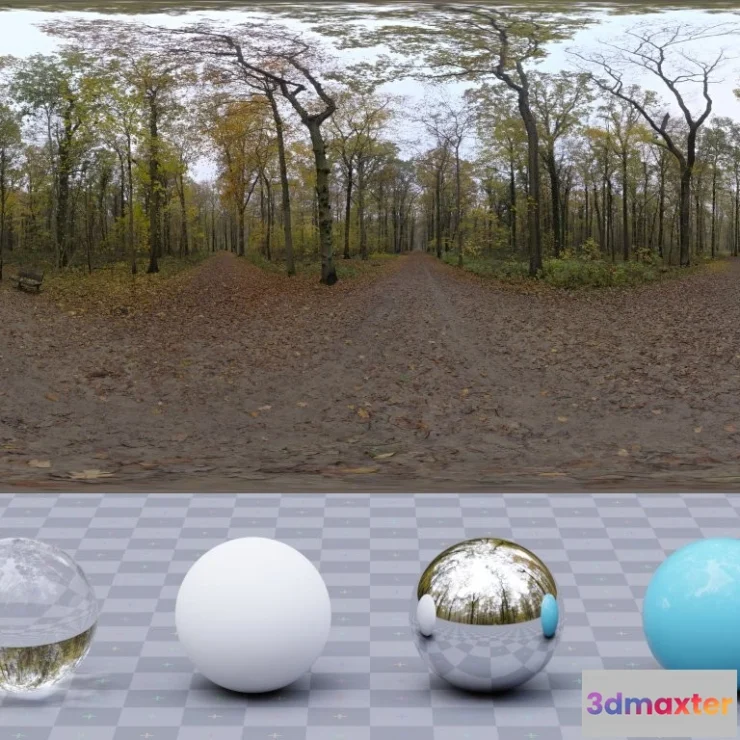 1265406 - Autumn Crossing