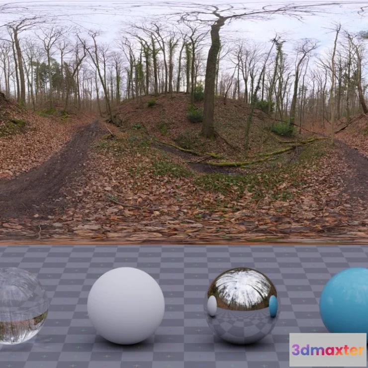 1265412 - Autumn Forest 02