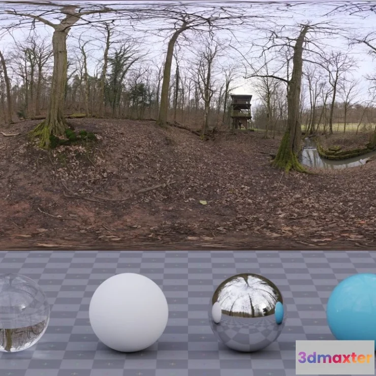 1265414 - Autumn Forest 03