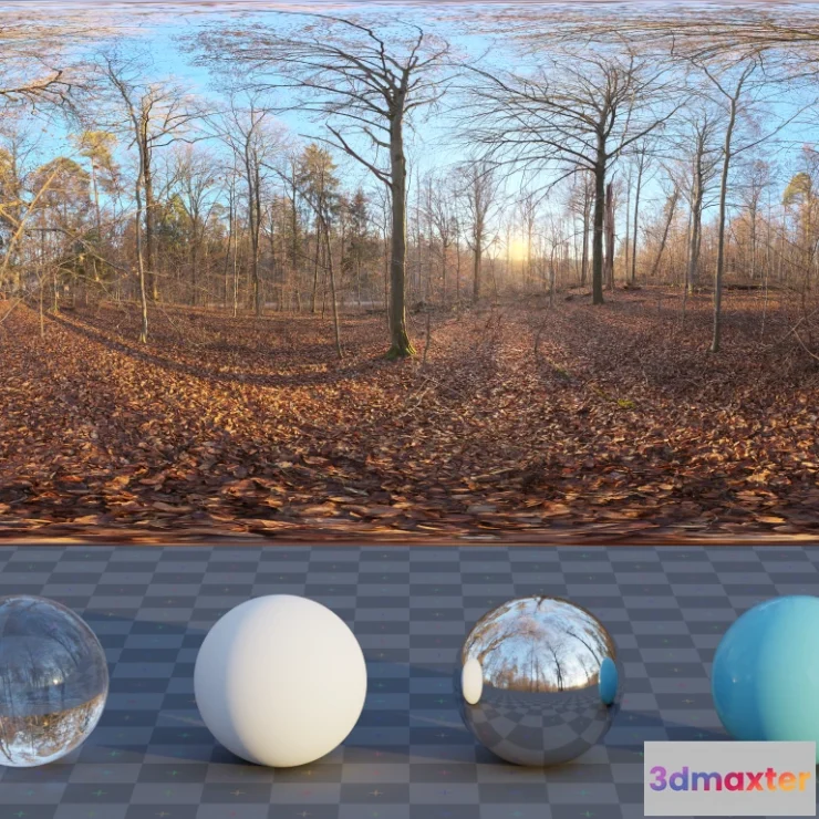 1265416 - Autumn Forest 04