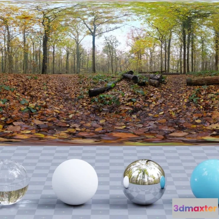 1265418 - Autumn Ground