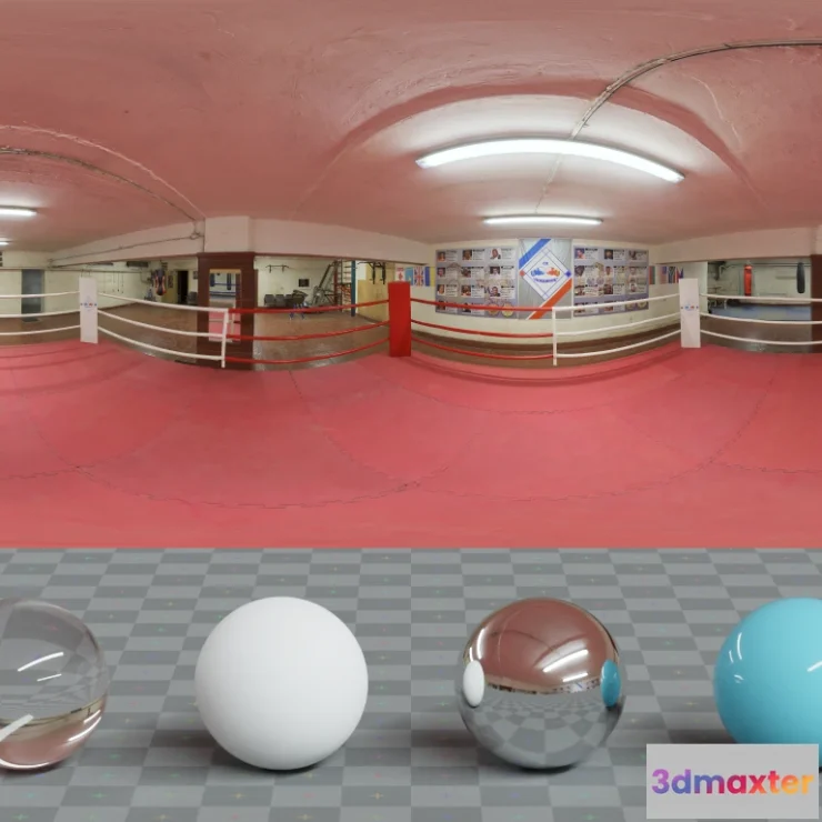 1265438 - Basement Boxing Ring