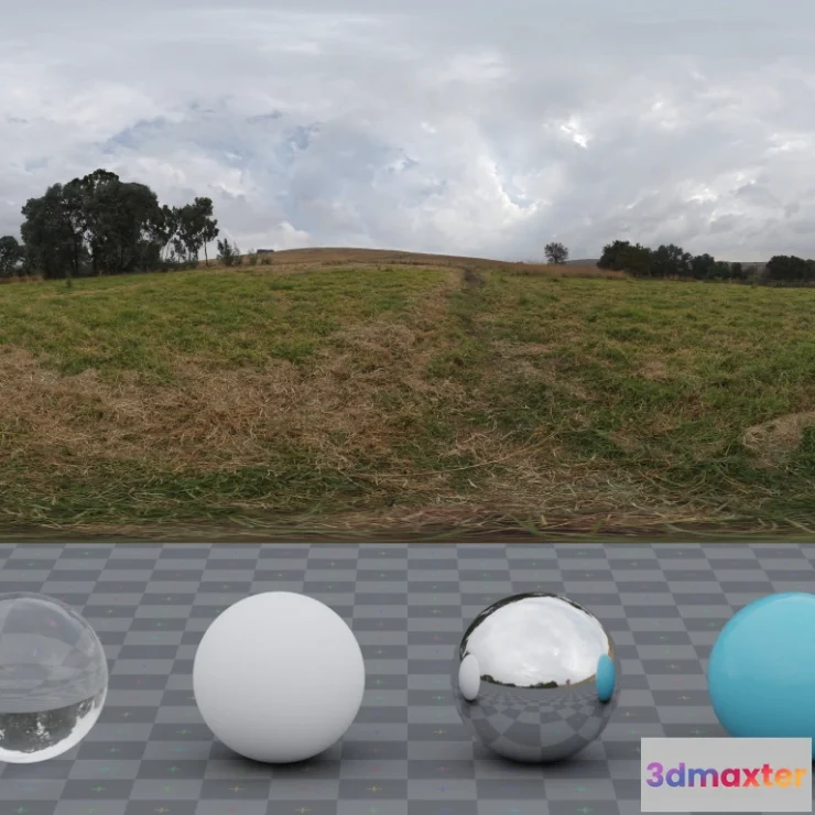 1265446 - Belfast Open Field