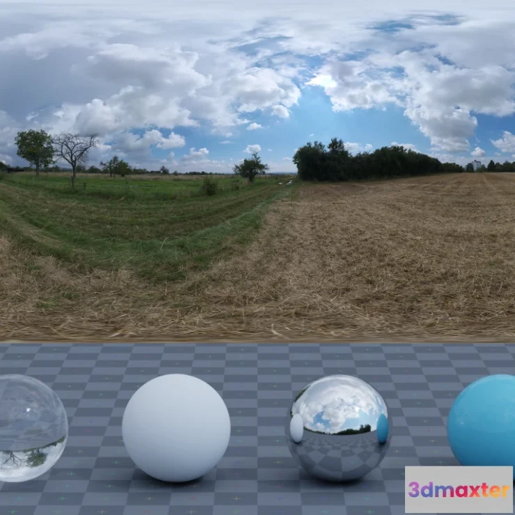 1265688 - Dry Hay Field