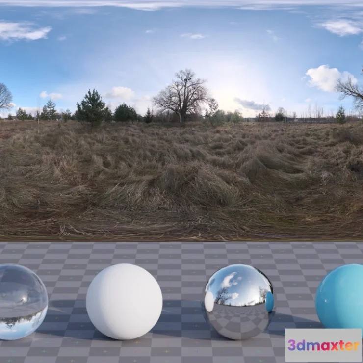 1265690 - Dry Meadow