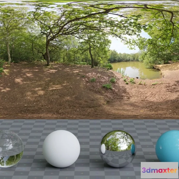 1265712 - Epping Forest 01