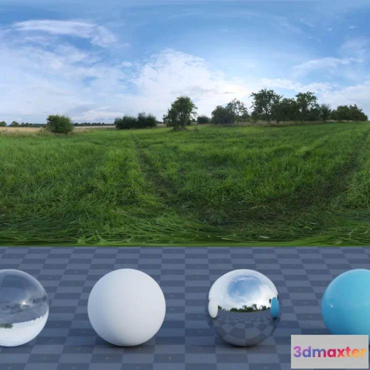 1265720 - Evening Meadow