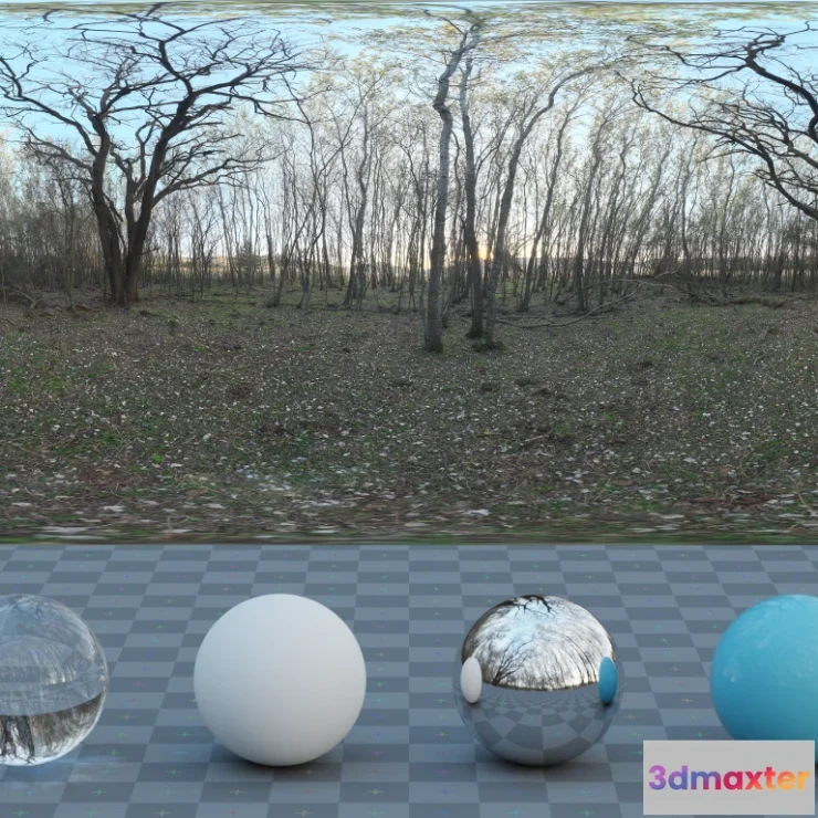 1265750 - Forest Grove