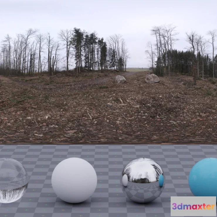 1265846 - Hochsal Forest