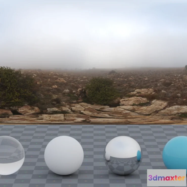 1265920 - Kloofendal Misty Morning