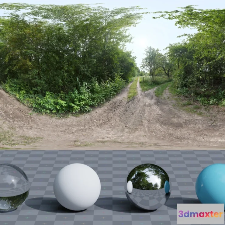 1266006 - Lush Dirt Path