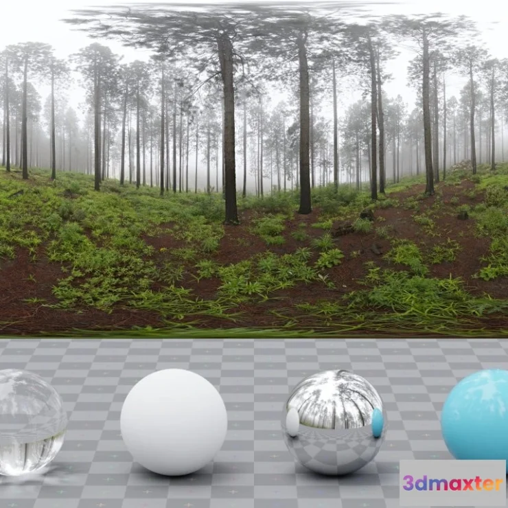 1266048 - Misty Pines