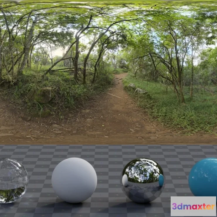 1266060 - Monk’s forest