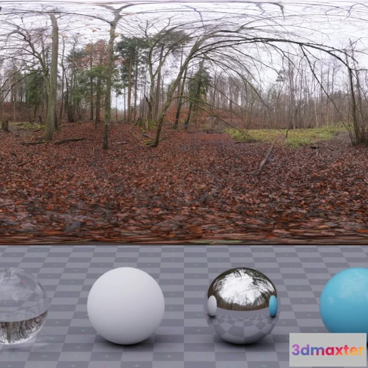 1266086 - Muddy Autumn Forest