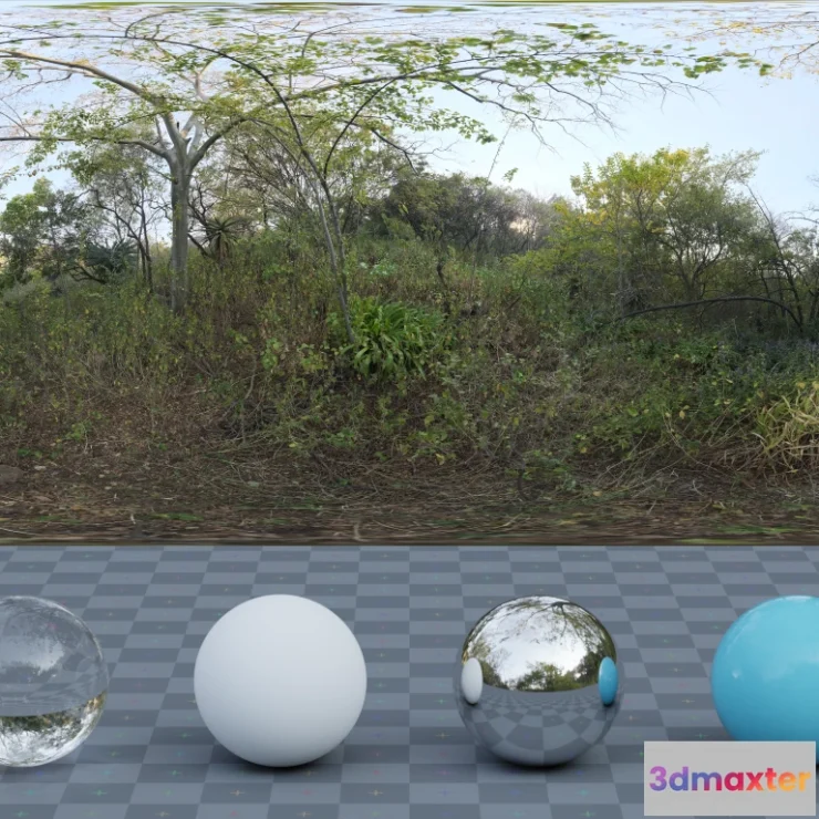 1266104 - Nature Reserve Forest