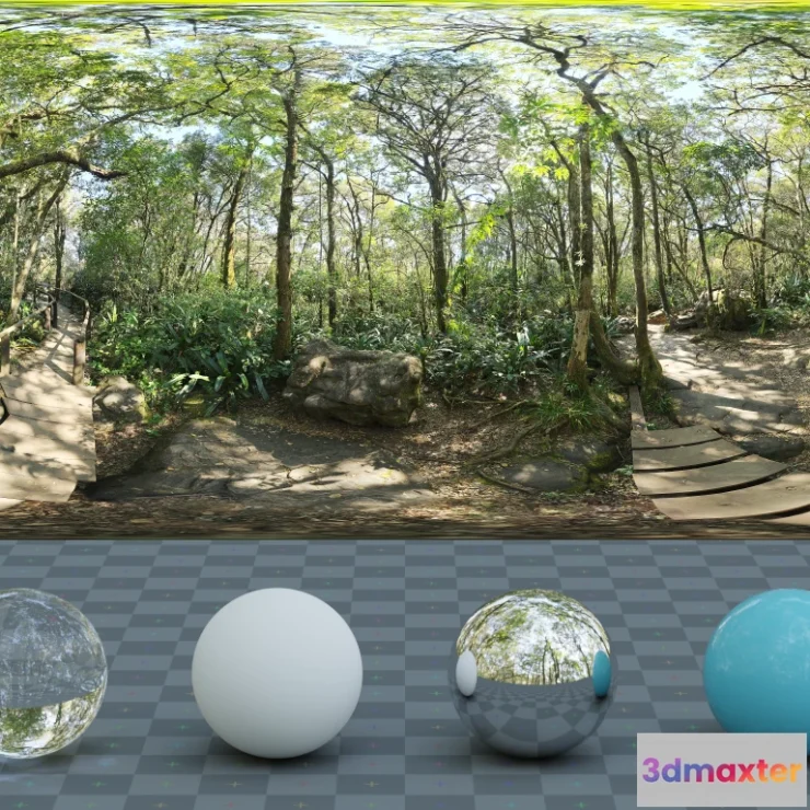 1266270 - Rainforest Trail