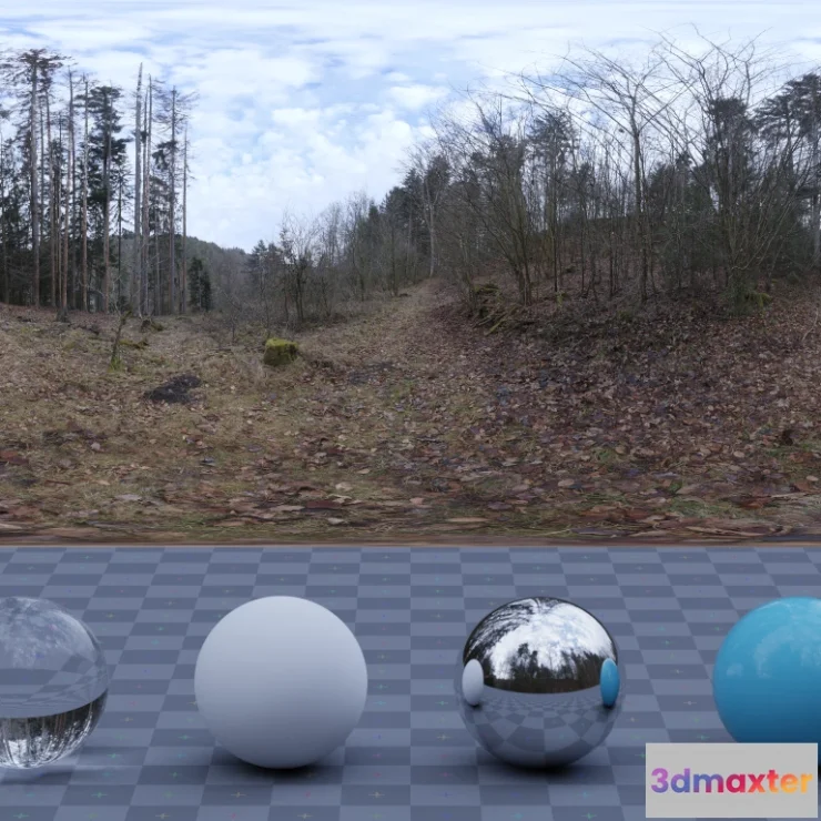 1266360 - Schachen Forest