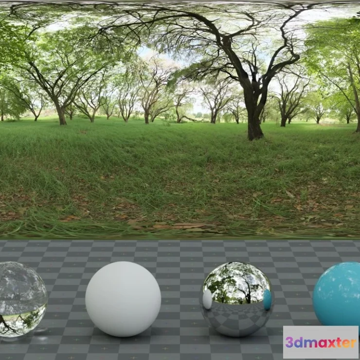 1266382 - Shady Patch