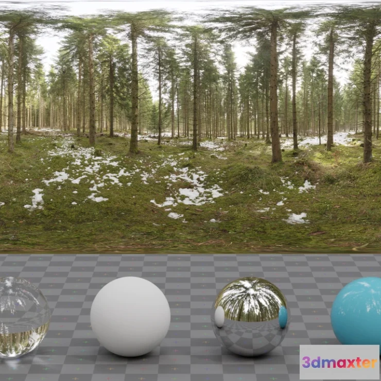 1266452 - Snowy Forest