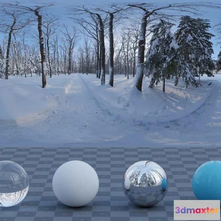 1266454 - Snowy Forest Path 01