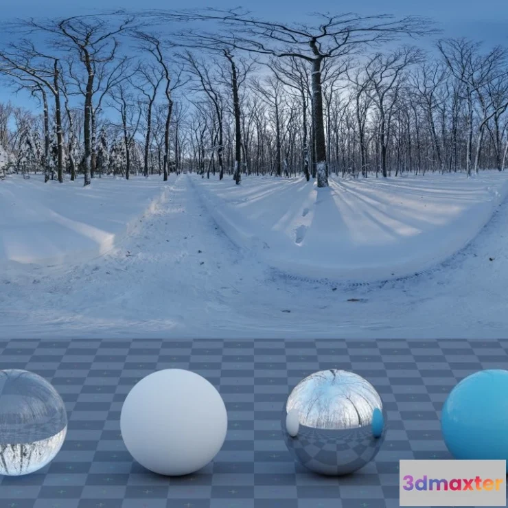 1266456 - Snowy Forest Path 02