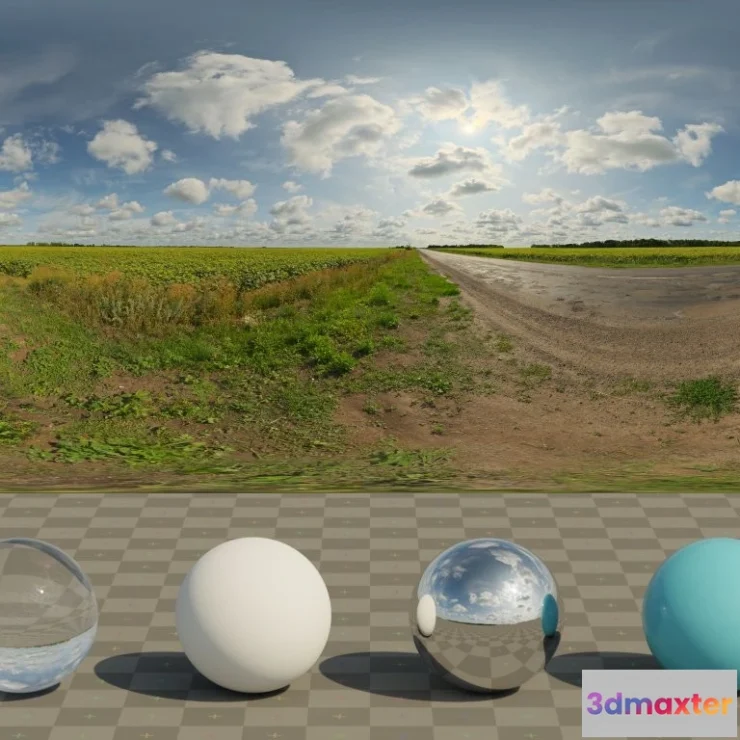 1266544 - Sunflowers