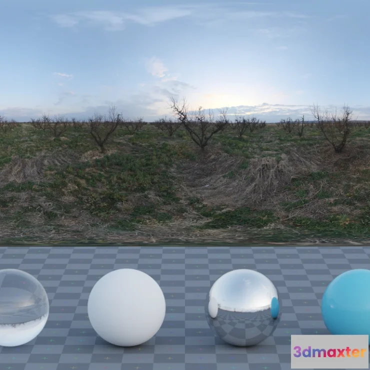 1266708 - Winter Orchard