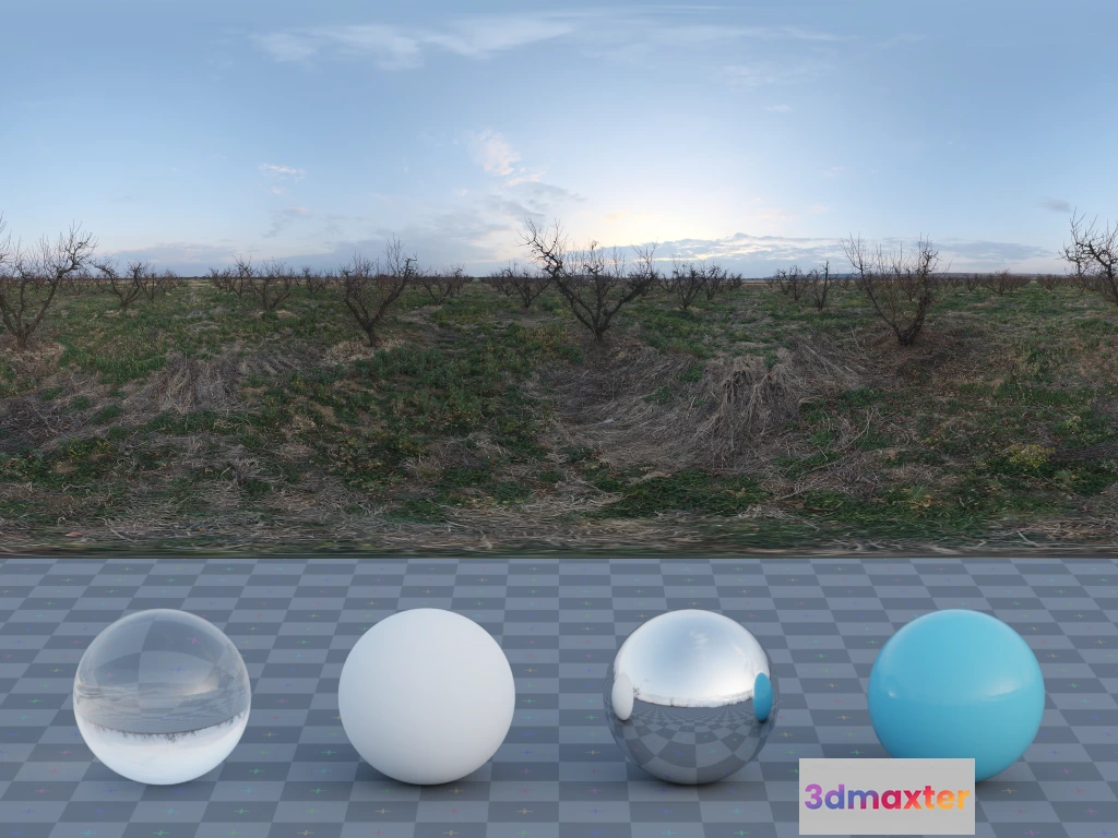 1266708 - Winter Orchard