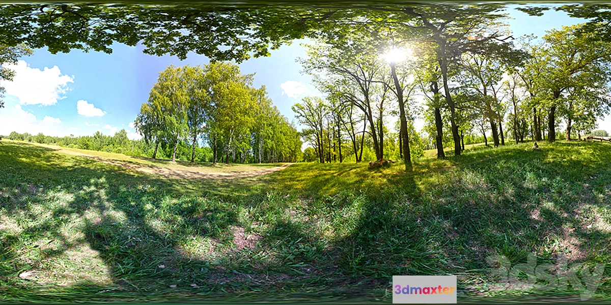 1286668 - HDRI Forest 3D Max