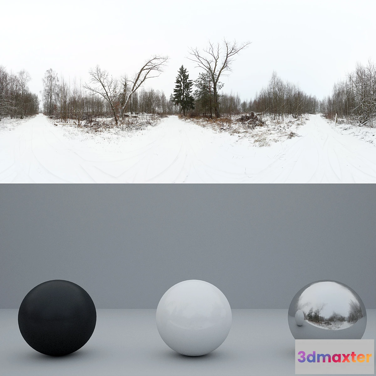 1392252 - HDRi Winter 3D Max