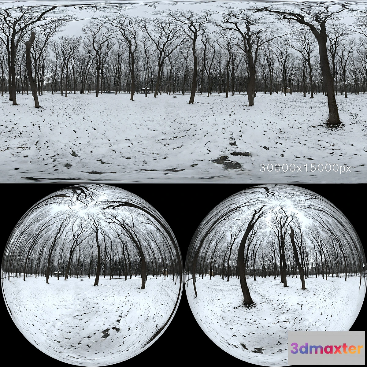 886520 - HDRI map from the winter park. 30k - No.2