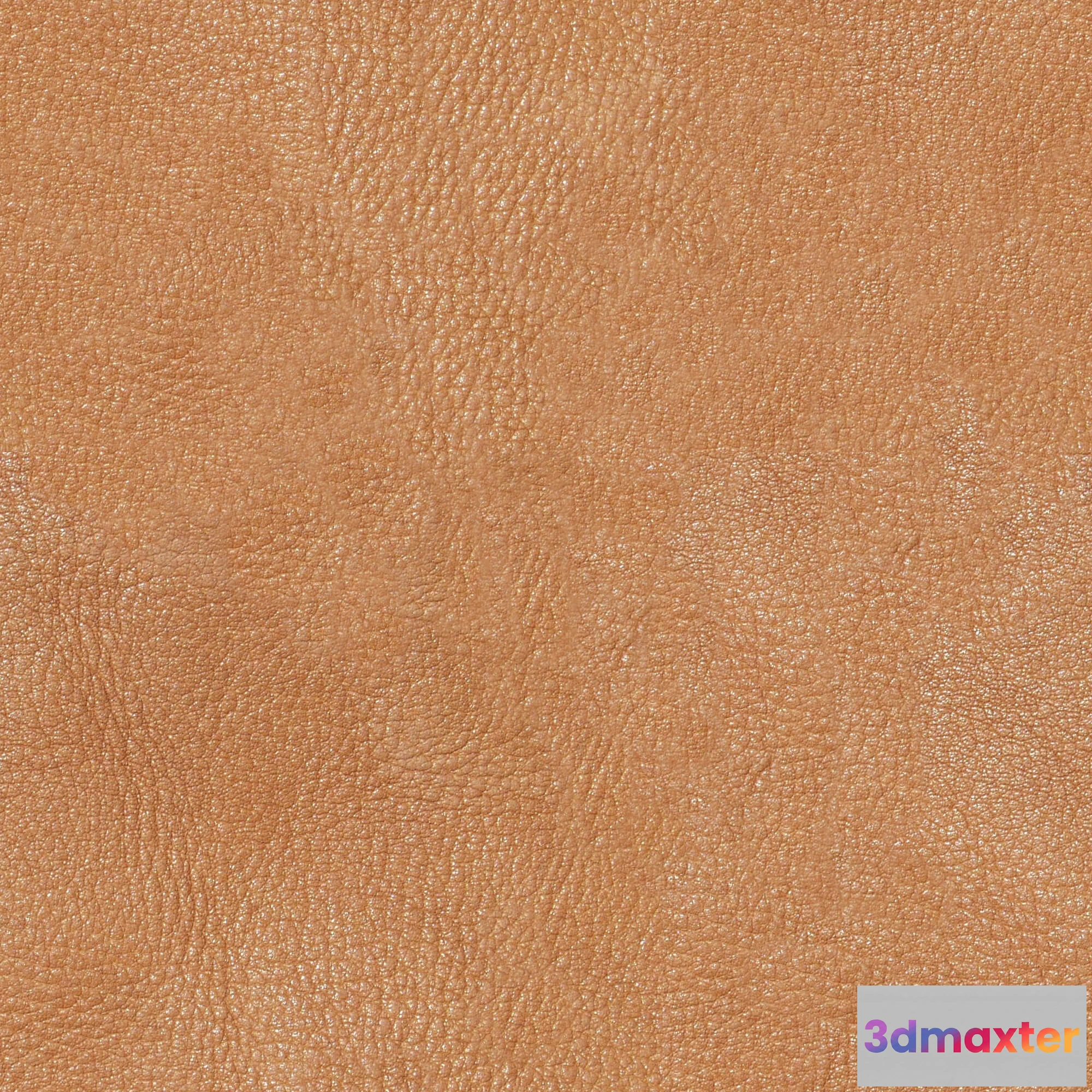 1673290 - textures - Leather 22 3D Max