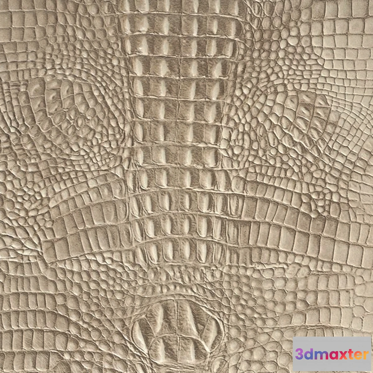 576402 - ALPHENBERG Kaiman skin