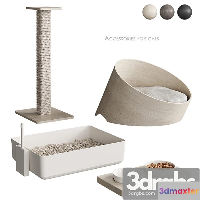 1004924 - Accessories For Cats NG1