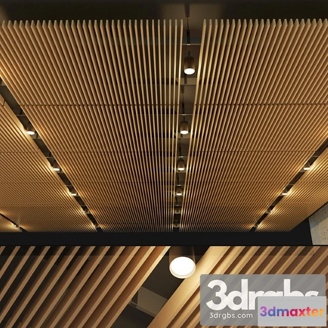 1005456 - Suspended ceiling rack. 14