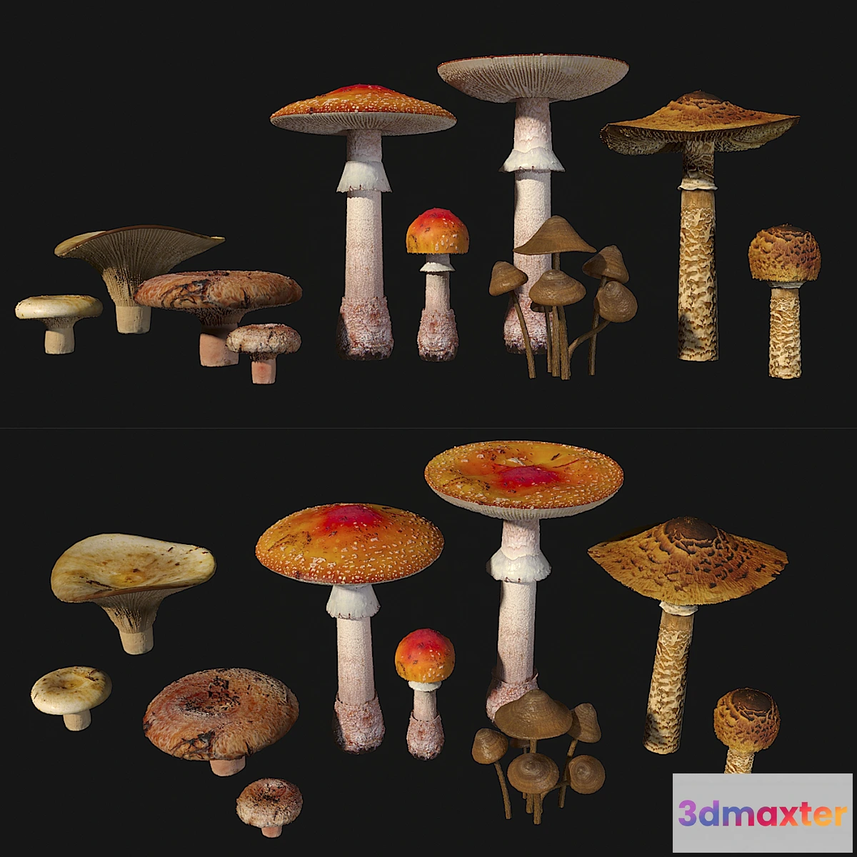 1298018 - Mushrooms. Set1 3D Max