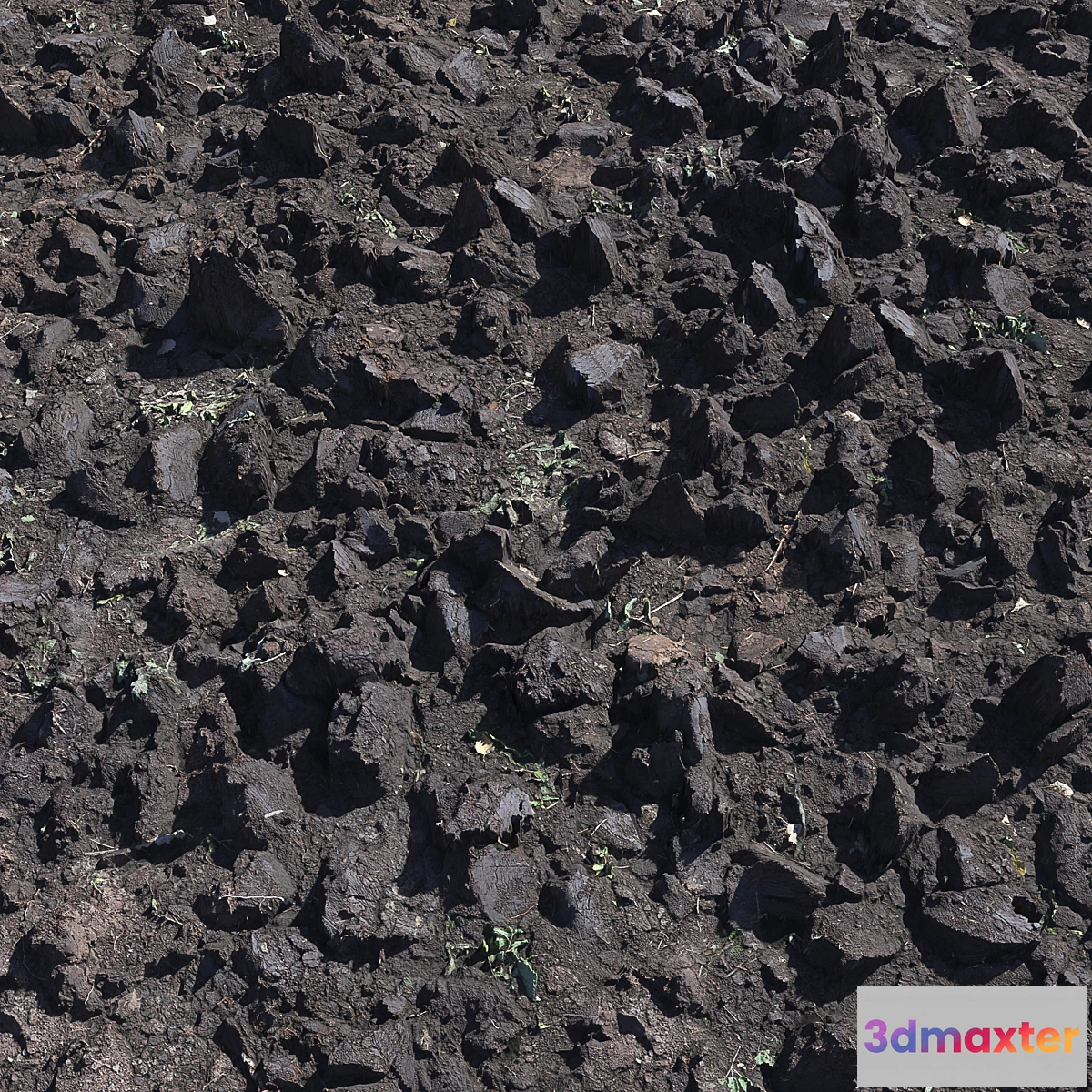 1320440 - Plowed land_1 3D Max