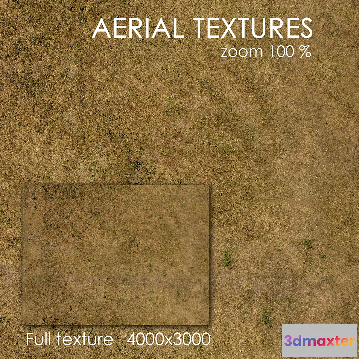 1321979 - Grass 53 3D Max