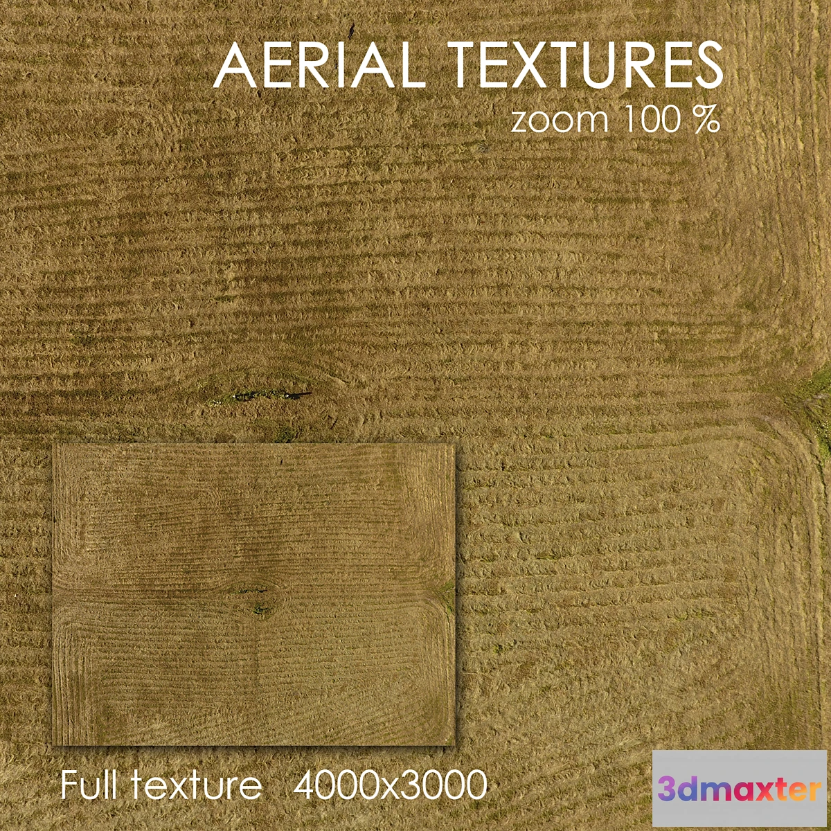 1322091 - Field with grass 3D Max