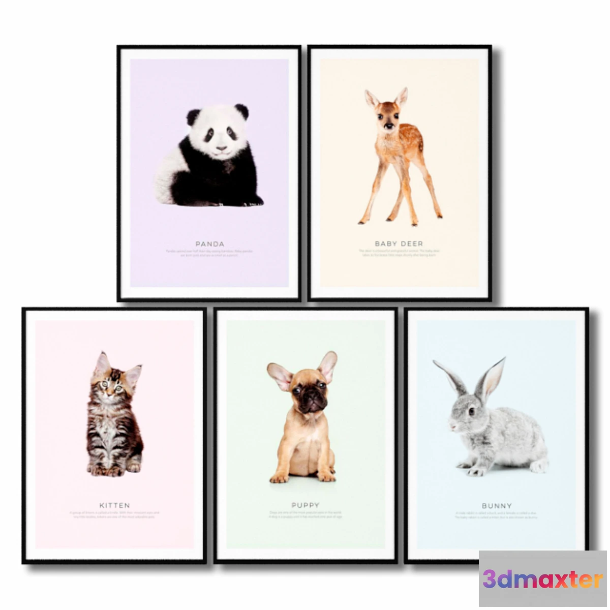 1337333 - Posters for the children’s room are animals. 3D Max