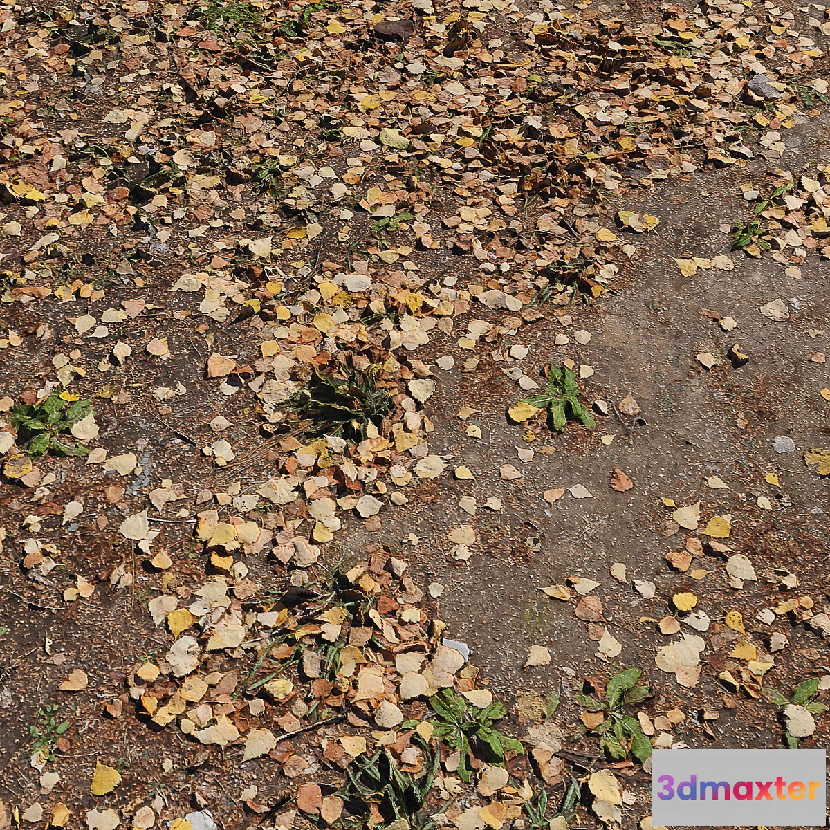 1343100 - Leaf_Earth 3 3D Max